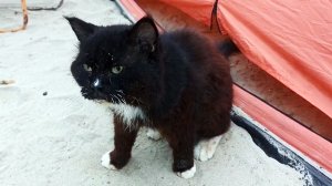 СЛАВЯНСКИЙ БЕРЕГ 2025. Часть 1-я. Прибытие на фест бардовской песни