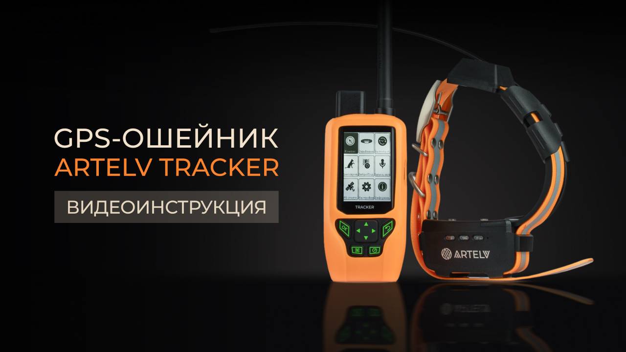 Работа с GPS-ошейником ARTELV TRACKER: всё, что нужно знать. смотреть онлайн