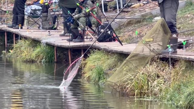 Поимки Основной водоем смотреть онлайн