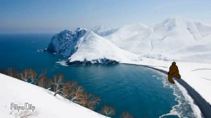 медведи Камчатки,  1 серия.  камчатка.