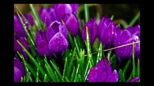 Электронная музыка Сергея Чекалина. Electronic music by Sergey Chekalin.