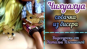 Чихуахуа из бисера /  Объёмное бисероплетение / Что сплести из бисера / Бисероплетение /