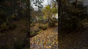 РЕАЛЬНОСТЬ vs РЕАЛЬНОСТЬ 😅