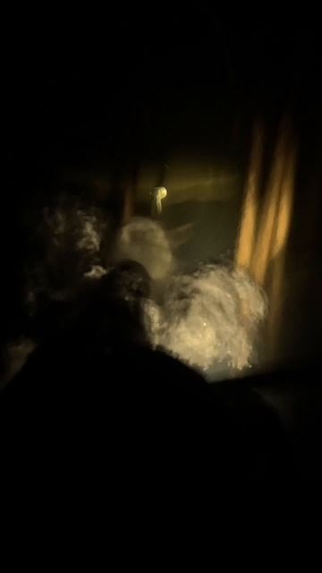 Воронеж, подводная охота.