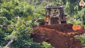 Строительство, дорога в лесу, расчистка