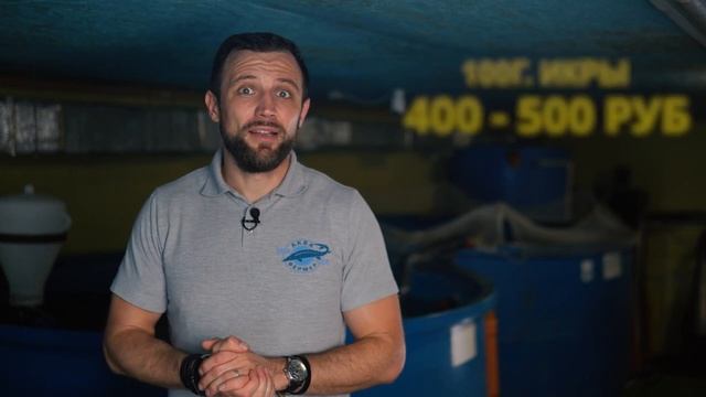 БИЗНЕС_НА_РЫБЕ_Всё_Настолько_ПЕЧАЛЬНО_Как_ВСЕ_ГОВОРЯТ смотреть онлайн