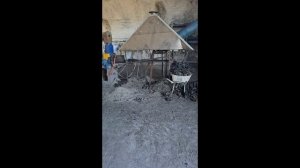 Алейск, Алтайский край