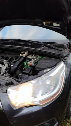 VID_20251012_165050.mp4