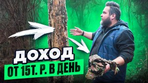 БИЗНЕС НА КОРЕ/ИЩУ ПОСТАВЩИКОВ КОРЫ