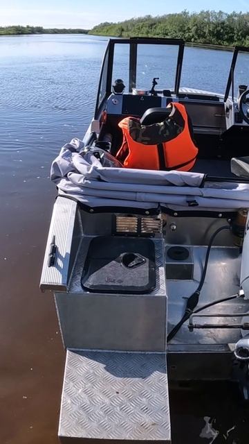 Триера стала красивее!!! смотреть онлайн