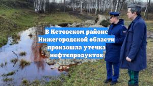 В Кстовском районе Нижегородской области произошла утечка нефтепродуктов