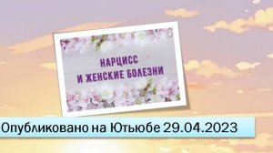 Нарцисс и женские болезни (фрагменты эфира от 29.04.2023)