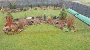 Зима не торопится приходить на восток Ленинградской области, но розы готовы к зиме. 10.11.2025