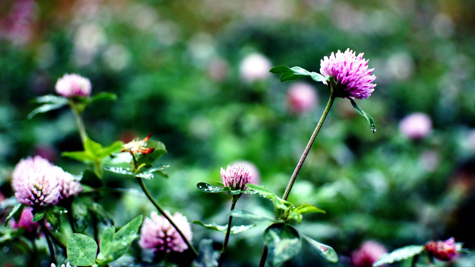 ОРЛОВСКИЙ ФОТОНОЯБРЬ 2025. ДОБРОГО УТРА ВСЕМ!!! смотреть онлайн