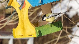 Народные приметы на 12 ноября: что можно и нельзя делать