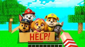 😭 ПОЧЕМУ ЩЕНЯЧИЙ ПАТРУЛЬ ВЫГНАЛИ СКАЙ ИЗ ДОМА  В МАЙНКРАФТ