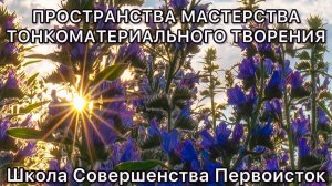ПРОСТРАНСТВА МАСТЕРСТВА ТОНКОМАТЕРИАЛЬНОГО ТВОРЕНИЯ