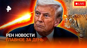 Амурских тигров ждет Казахстан /Спекуляции на метеорите /"Черную пятницу" отменили? /ГЛАВНОЕ ЗА ДЕНЬ