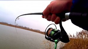 Поставил эту приманку, и влетела хорошая ЩУКА! Джиг с берега! Рыбалка на спиннинг с берега в ноябре!