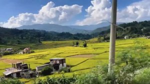 Отказ в Визе! Мне Предписано Выехать из Страны в Течение 14 дней. Непал.