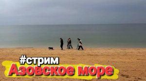 Ср, 12 нояб. 2025 Азовское море Прямой эфир #Голубицкая Онлайн  Невероятно красивое море