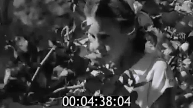 Киножурнал Наш край 1960 год №42 смотреть онлайн