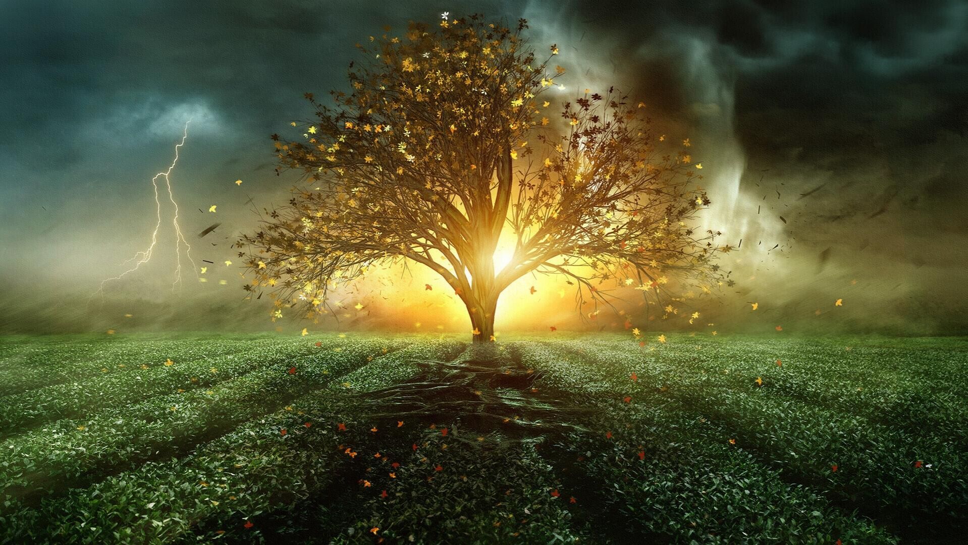 ray pherz dance of forgotten souls ext смотреть онлайн