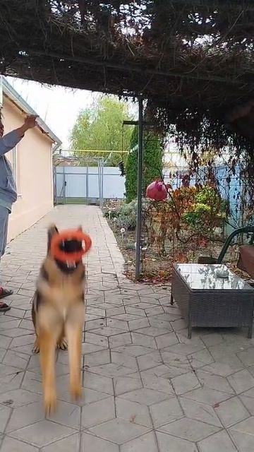 Баларис ПАНДОРА, 6 месяцев смотреть онлайн