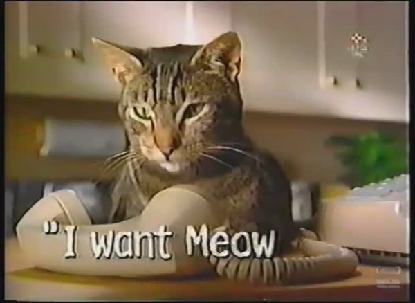 Мяу Микс Реклама. Meow Mix - Television Commercial - 1999