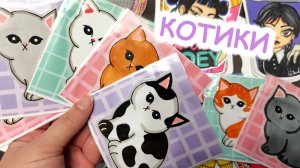 Котики😽Шапочки для котиков💕Распаковка от Happy Family TV🌸