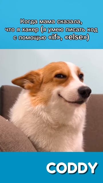 😏 А как ваши мамы реагируют на ваши способности? #программирование #programming смотреть онлайн