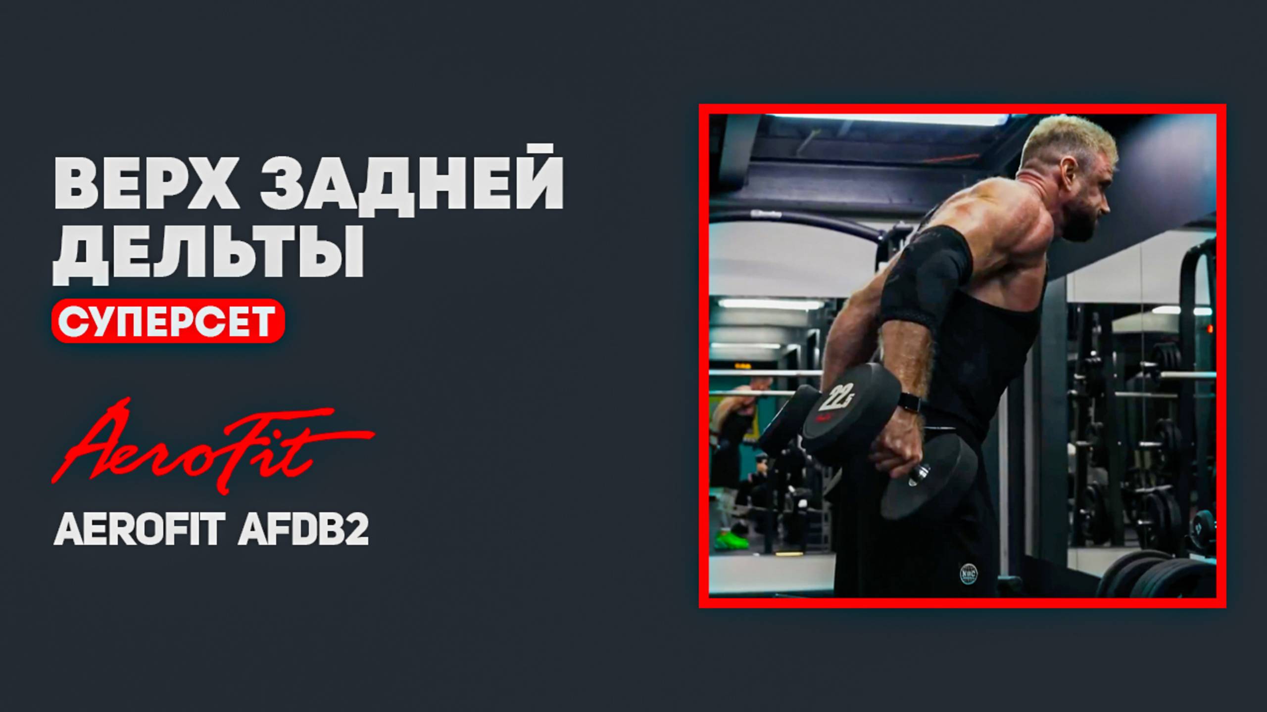 СУПЕРСЕТ. Махи и Тяга Ли Хейни Aerofit AFDB2 смотреть онлайн