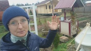 Видео привет с 6 соток 6 ноября 2025 года.