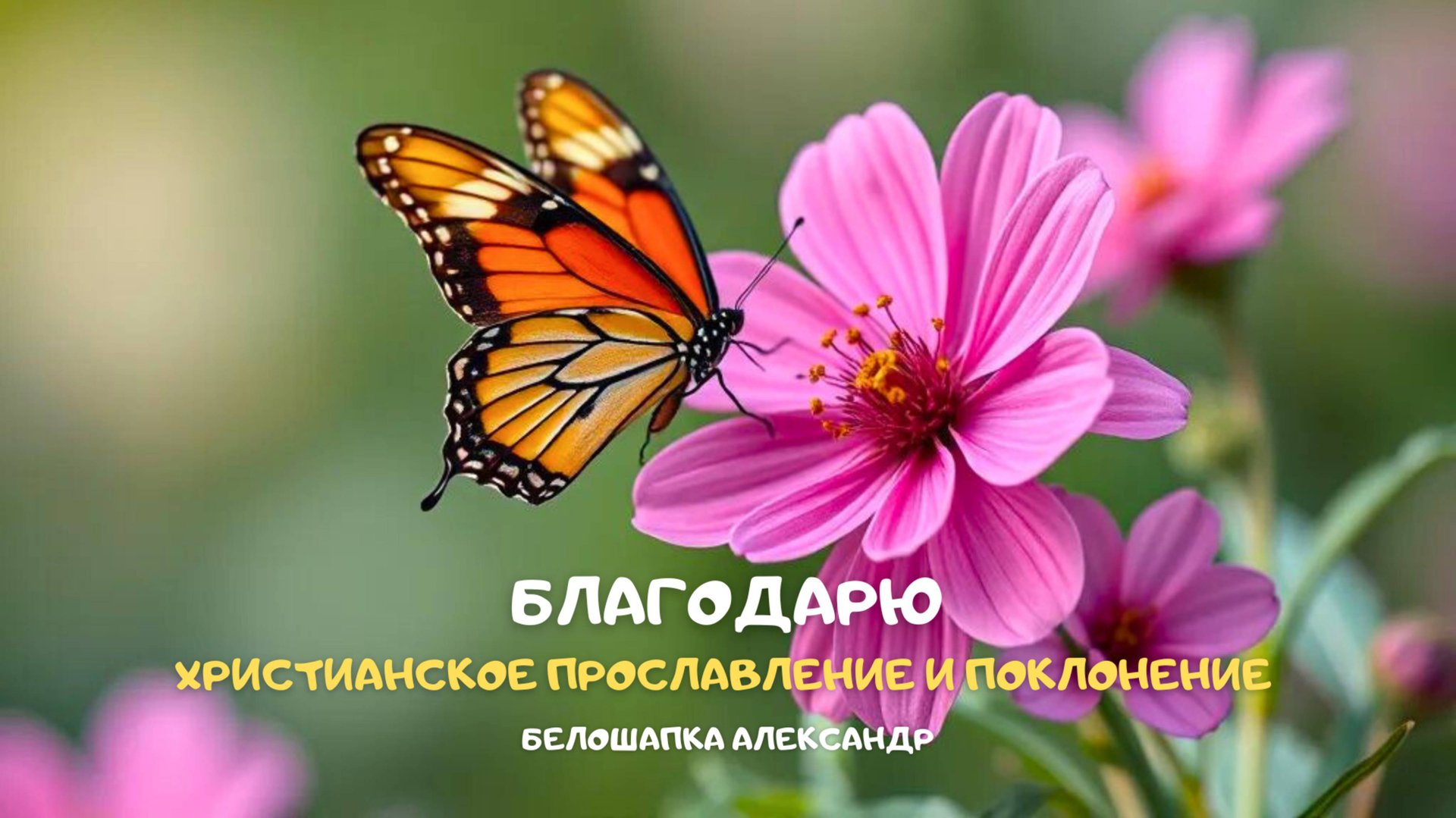 Благодарю. Христианское прославление и поклонение смотреть онлайн
