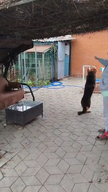 Баларис ПАНДОРА, 6 месяцев смотреть онлайн