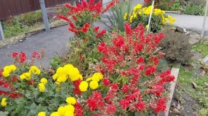 Железноводск.Осень  25 г  ч 2