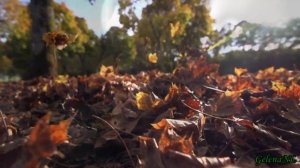 Ты ждёшь... Лариса Мерзлякова