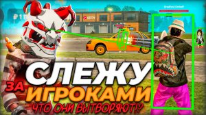Слежу за игроками Grand Mobile: Охотник за стонами, токсик и самый добрый человек! ( гранд мобайл )