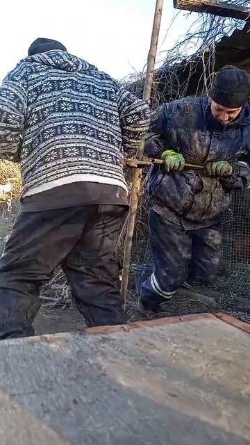 Девушка со звёзды.