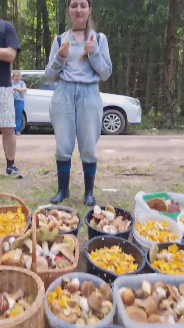 ШОК И ВЫ ГРИБНИКИ, гриб веселка и ОБРЯД ПОСВЯЩЕНИЕ, в лес за грибами смотреть онлайн