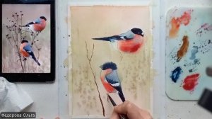 Акварель. Снегири