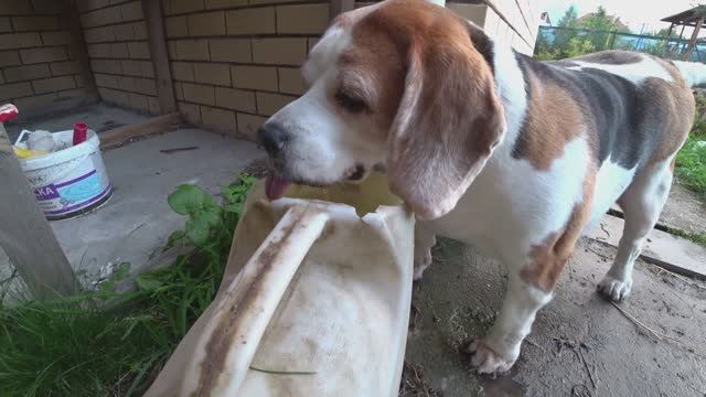 Влог от 16.09.2021 смотреть онлайн