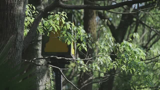 The Attraction Of Eternity