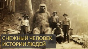 СНЕЖНЫЙ ЧЕЛОВЕК и ИСТОРИИ О НЁМ .  #shortvideo #scarystories  #horrorstories #мистика #horror