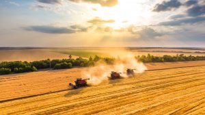 Агропромышленный комплекс региона