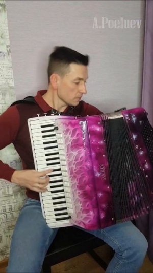 Ну, погоди!
#музыка 
#музыкант
#аккордеон 
#music
#accordion