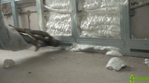 Теплоизоляция для стен изнутри. Как утеплить стены