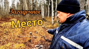 Так что же здесь было?  Коп металлолома, разведка лесной дороги