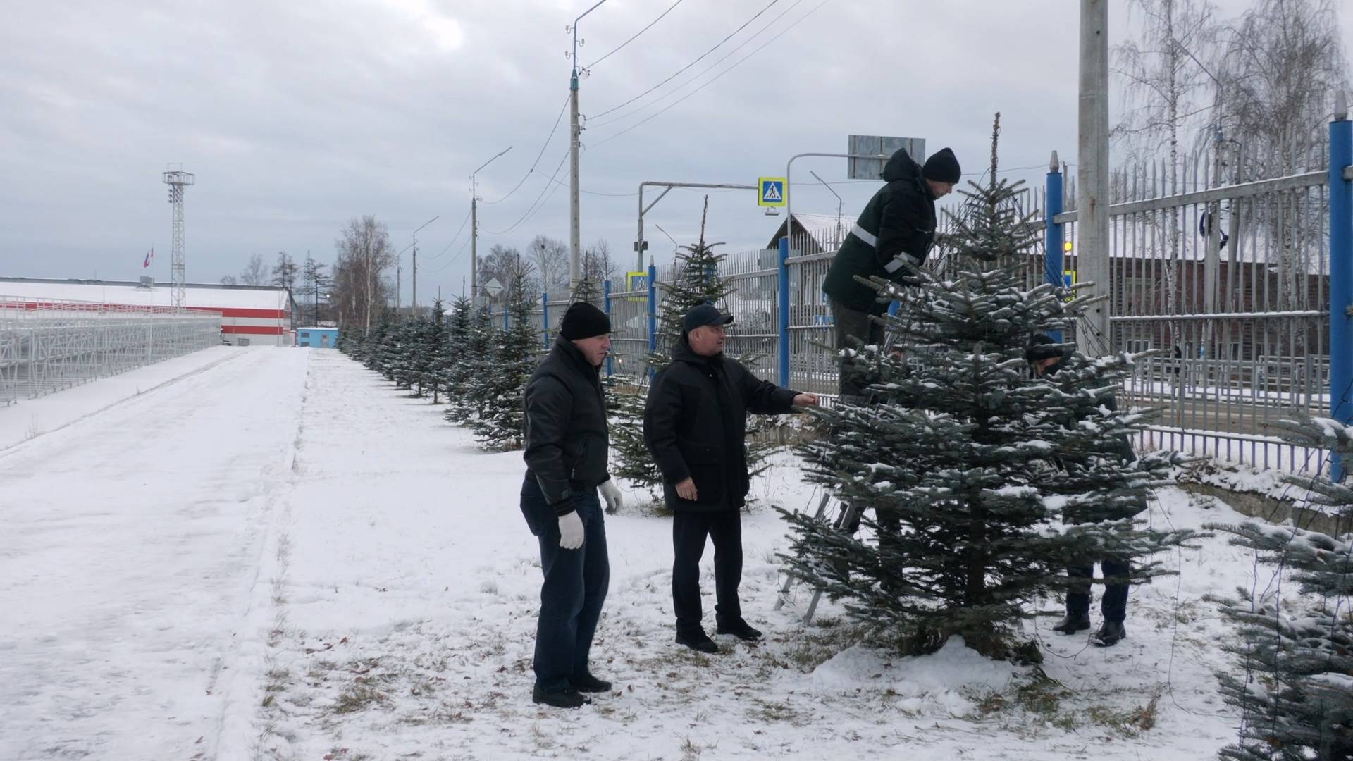 Василий Сизиков запустил акцию «Наряди ёлку» смотреть онлайн