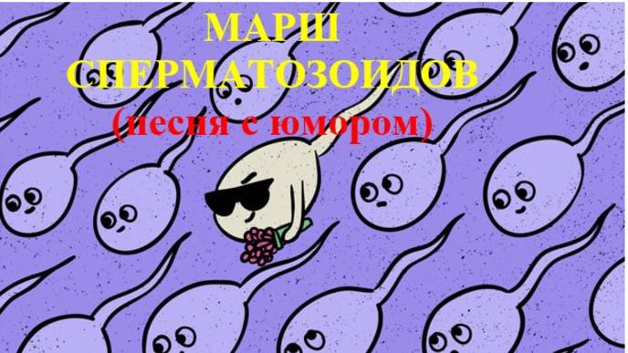 МАРШ СПЕРМАТОЗОИДОВ (песня с юмором) смотреть онлайн